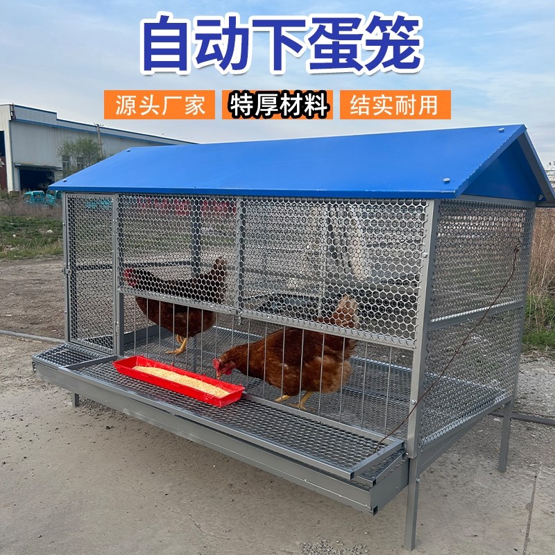 尖顶鸡笼室外饲养笼防鼠黄鼠狼防雨加密加厚鸭鹅兔芦丁鸡养殖笼子