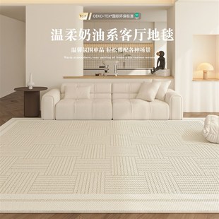 奶油风免洗可擦卧室床边毯轻奢高级防水防污地垫 地毯客厅2025新款