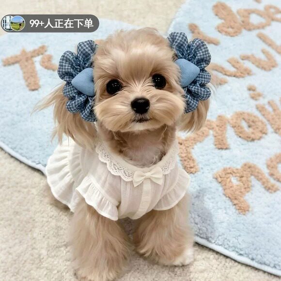 狗狗专用长耳花发圈美卡耳套宠物