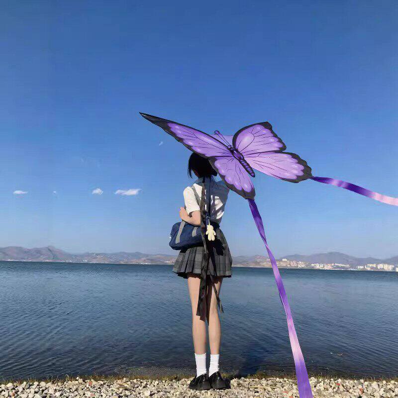 蝴蝶风筝大人专用潍坊高档2026新款成人高颜值粉色飘带拍照风筝