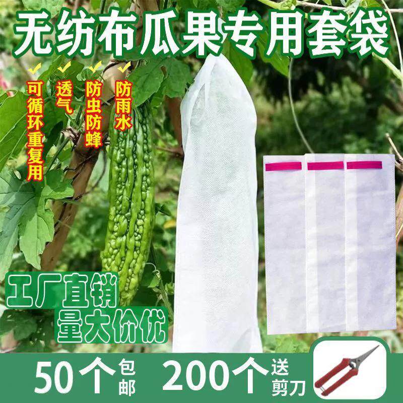 青瓜袋加密纱网袋黄瓜防虫套袋苦瓜丝瓜黄瓜果防鸟器罩透气束口袋