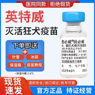 英特威狂犬锐必威瑞比克狗狗疫苗宠物防疫猫进口育苗狂犬病预防针