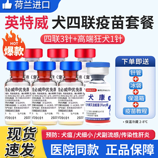 进口英特威四联犬用4联预防细小犬瘟成犬幼犬狗疫苗一套自打套餐