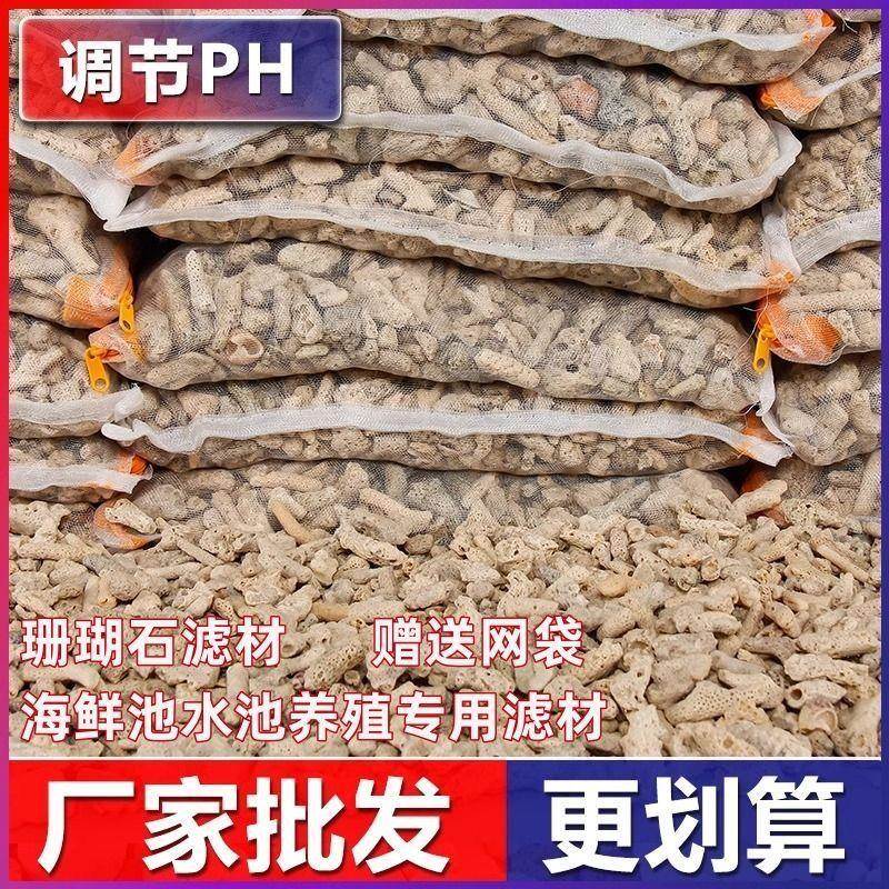 鱼缸底滤净水吸附珊瑚沙菌池水族鱼TTN珊瑚培石天然纯天然过滤滤