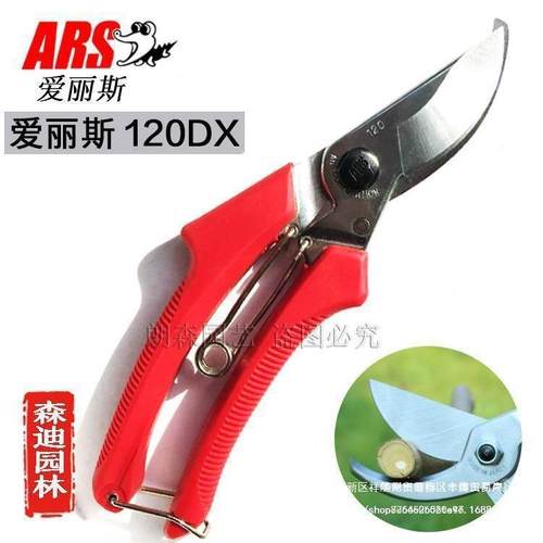 丽日本进爱丽斯修枝剪爱丝ACYQ82255RS口120DX剪园艺剪果树剪刀树