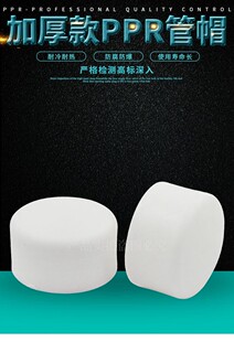 PPR水管管帽试压堵头闷头20 4分25 6分32 1寸ppr水管管件配件