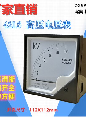 ZGSAYB 沈奥  42L6 10KV/100V   指针式 交流 高压表  电压表