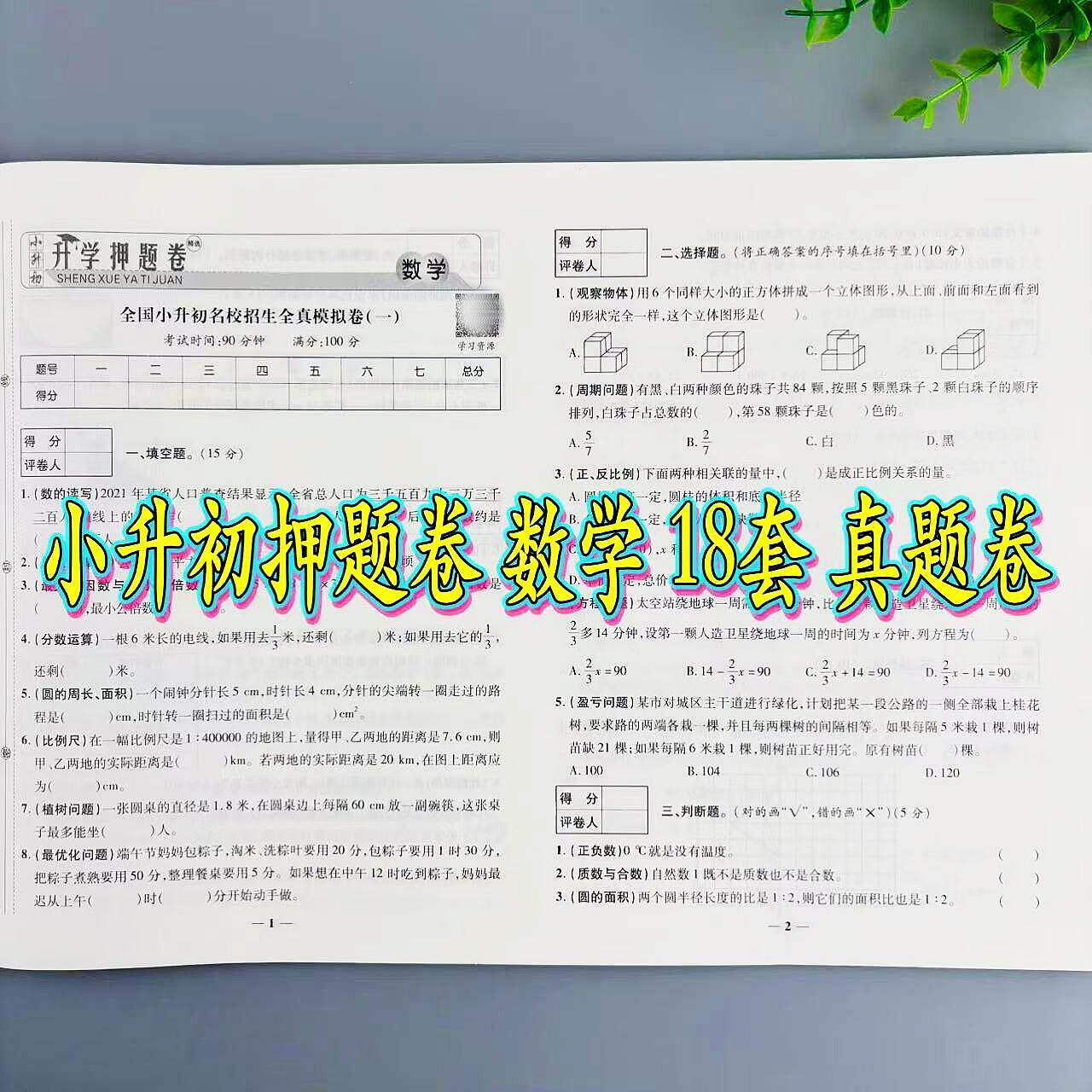 小升初押题卷数学必刷题
