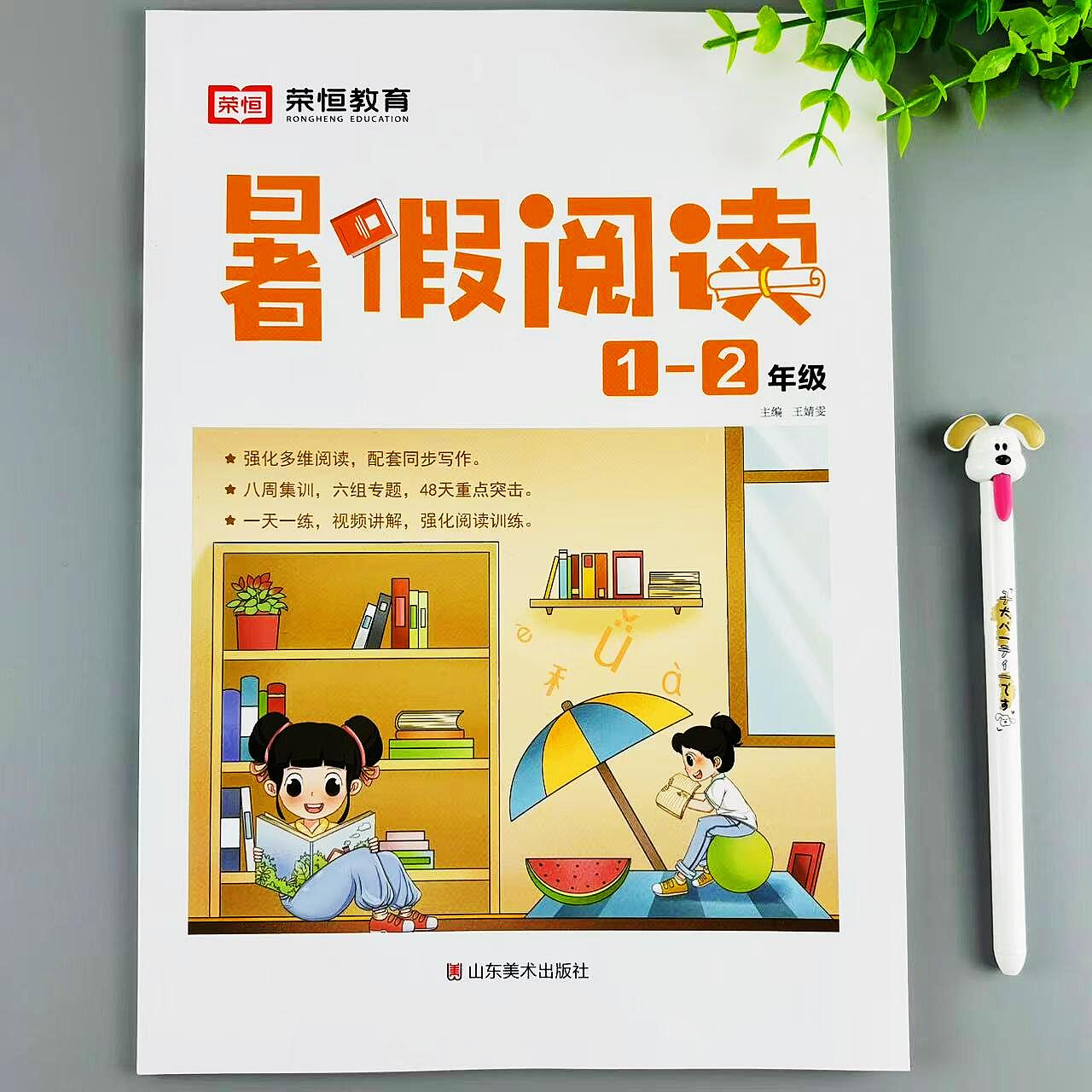 一升二年级暑假阅读理解