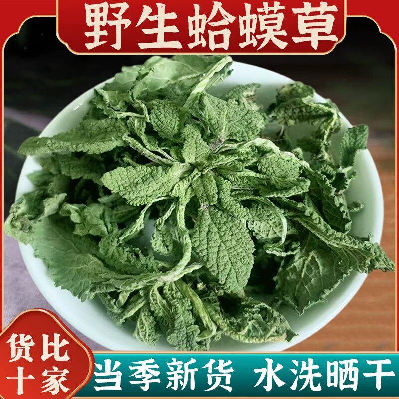 野生蛤蟆草干荔枝草雪见草泡水喝蛤蟆草的功效癞蛤蟆中药材