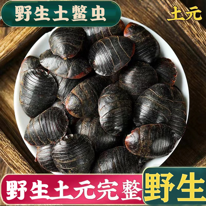 正品精选土元金边土鳖虫新货中药材500g正宗中华土鳖虫土元地鳖虫