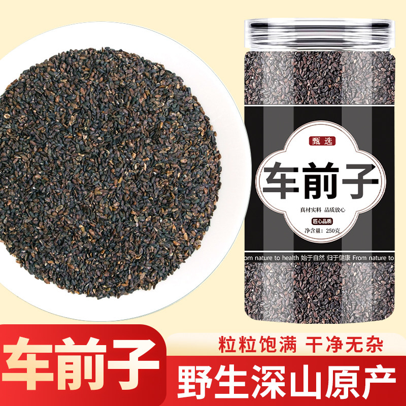 车前子中药材正品旗舰店中药车前草籽车前子茶车前籽和土茯苓泡水