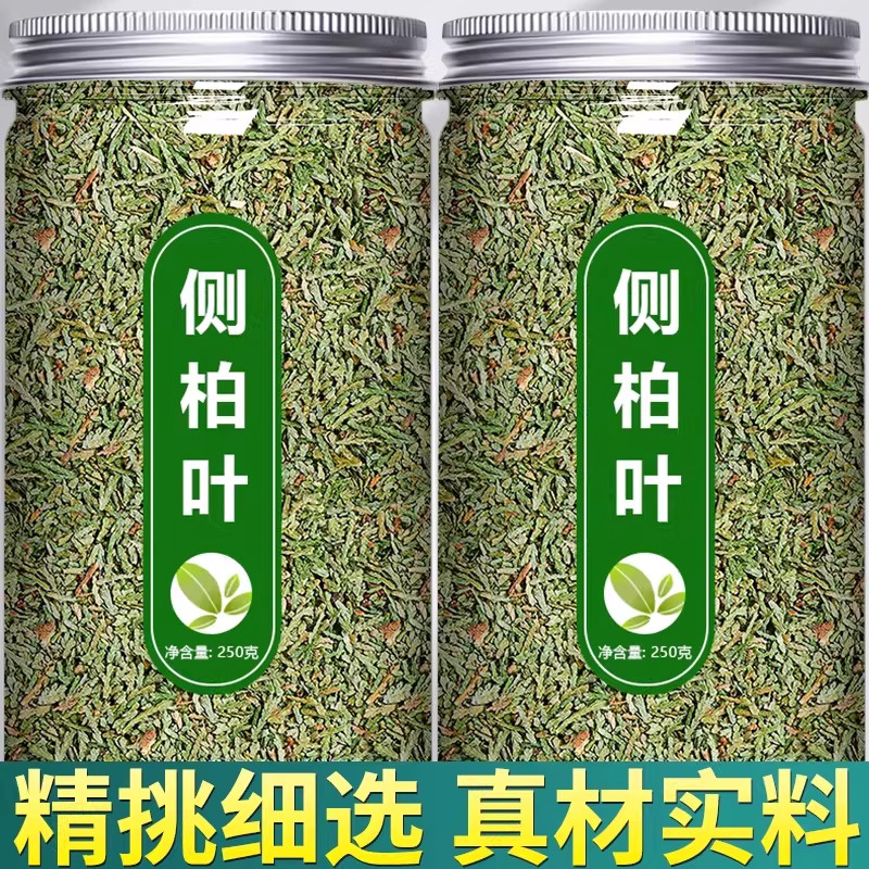 侧柏叶中药材特级野生扁柏叶新鲜干货洗发500g克茶枯何首乌测柏叶