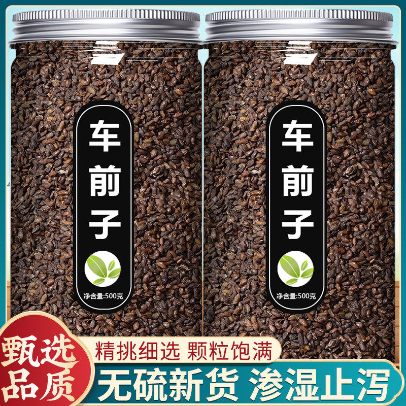 车前子中药材正品官方旗舰店特级野生洋车前子籽车前草泡水泡茶喝