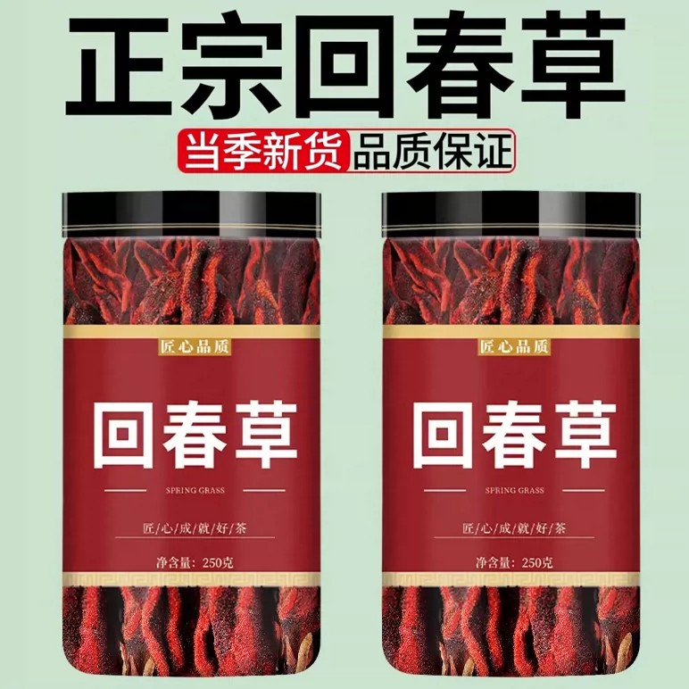 回春草中药材野生云南旗舰店正品新鲜干货顶天柱新货茴春草不老草