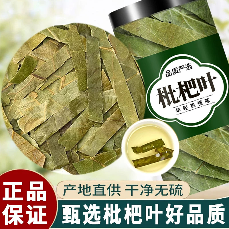 枇杷叶茶中药材500g正品野生新鲜干货枇杷叶枇杷叶止咳化痰泡茶水