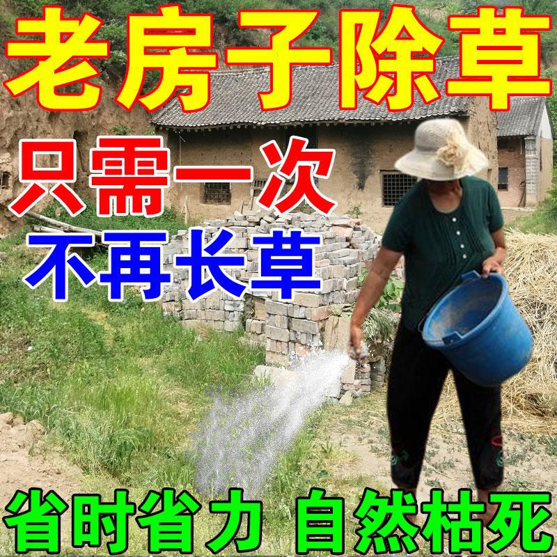 除草烂根剂一扫光三年不长草强力
