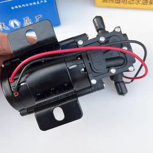 汽车货车淋水器电动抽油抽r水泵大功率加油机自吸泵12v24v车载水