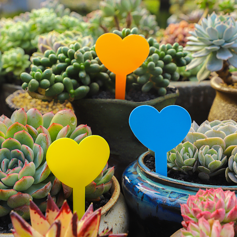 宏荣园艺标签加厚爱心型兰花花卉标签多肉标识牌防水塑料插地牌