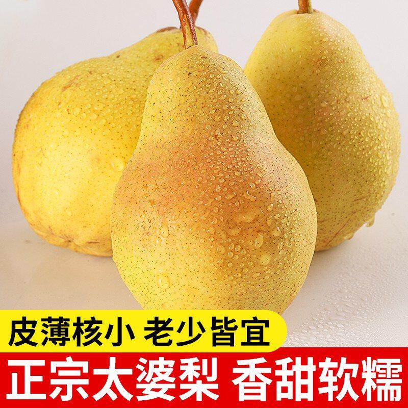 正宗烟台太婆香蕉梨放软食用香甜多汁新鲜水果软糯香甜大头梨