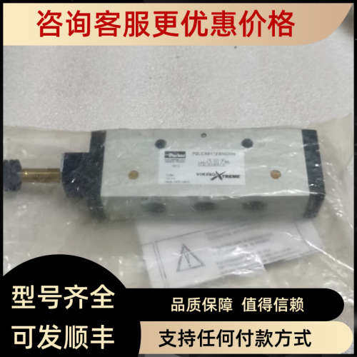 议价电磁阀 P2LCX513ESNDDN 10bar