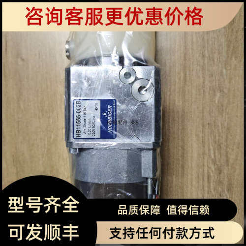 议价HOERBIGER HB11555-002B 115Bar 油泵