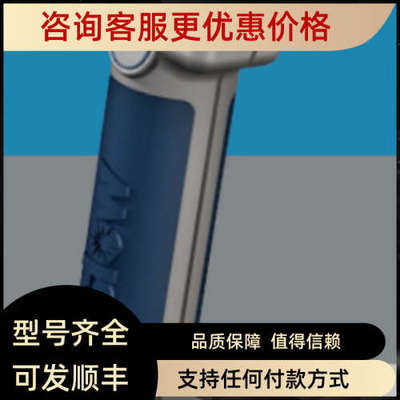 议价Koslow PASSI-Flash 3036锈钢钝化检测仪