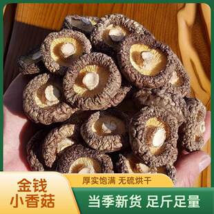 深山椴木金钱菇干货剪脚无根肉厚自然晾晒菌香浓郁炖汤炒菜食材
