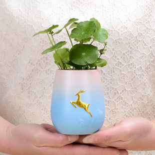 禅意茶道水培花瓶陶瓷水养绿萝富贵竹花盆北欧客厅桌面装饰摆件