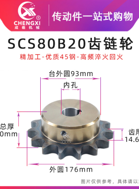 SCS高品质成型孔链轮8分 80B20齿 16A20T外径176精车内孔键槽顶丝