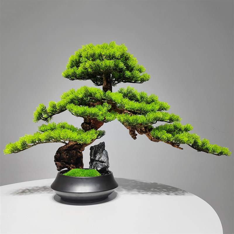 新中式迎客松树盆景摆件石头枯山水样板房玄关微景观绿植陶瓷盆栽