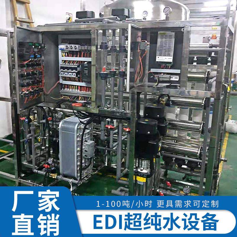 GMP制药生物化工双级反渗透设备净水机超纯水系统RO纯化水