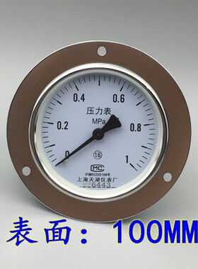 天湖Y100ZT轴向带边压力表背接式气压表真空表01 16 010MPA
