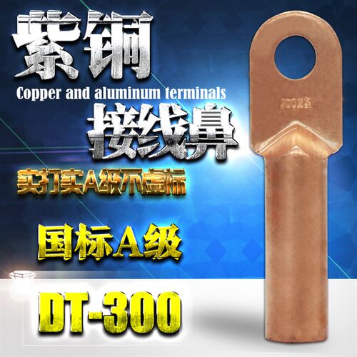 DT-300mm 铜鼻子300平方铜线鼻子 电线电缆耳 铜接线端子 国标A级
