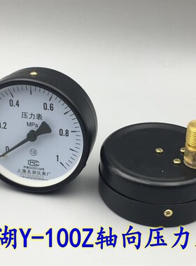 天湖Y100Z轴向不带边压力表背接式气压真空表01 16 010MPA