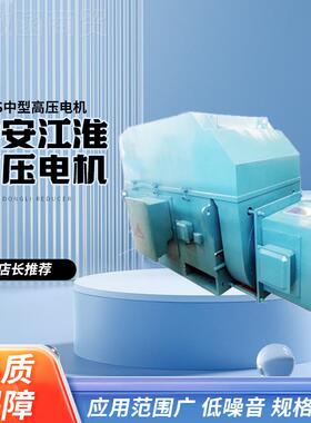 六安型江淮电k机马厂家直供YRKS中高压电动机64178三相异步355kw3