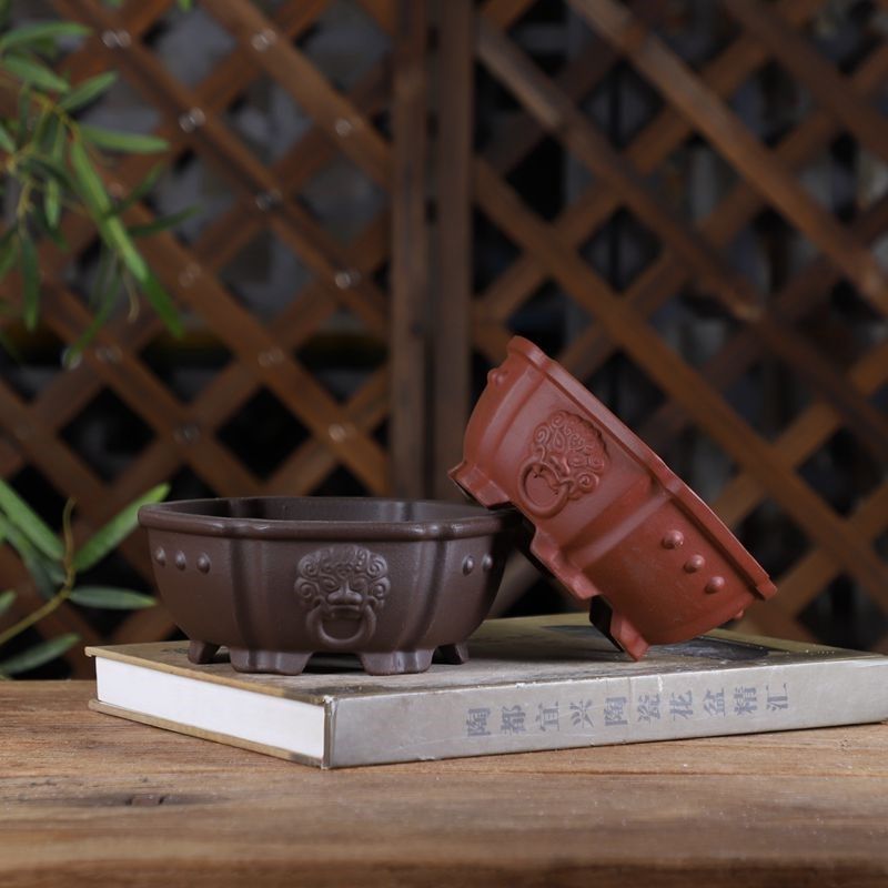 紫特价砂小花盆 花形鼓点双狮头 景绿植花盆 室内桌面,标准件/零部件/工业耗材,输送带/传送带,淘宝优惠券,粉丝福利购,淘宝优惠卷