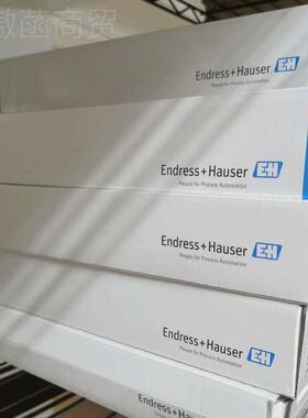 德国E+-H全新原装品现货 传感器CS7740571正DP7TP21