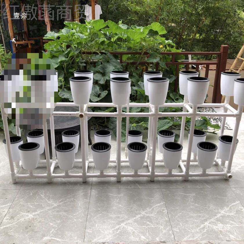鱼菜共9690生潮汐杯虹瓶虹彩吸系统种水植杯培育苗20只装2mm3插口