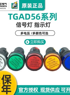 TENGEN天正 TGAD5622D/S指示灯信号警示灯黄绿白蓝红220V 22孔