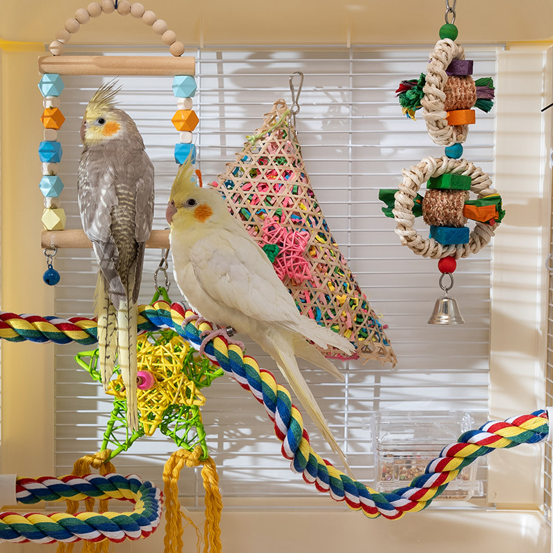鹦鹉棉绳攀爬玩具鸟超长站杆可变形爬梯吊绳牡丹玄凤虎皮秋千玩具,宠物/宠物食品及用品,鸟玩具,淘宝优惠券,粉丝福利购,淘宝优惠卷
