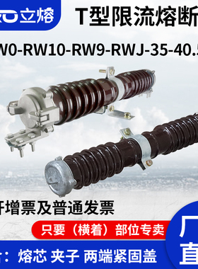 RXW0-RW10-RW9-35KV/0.5A1A2A5A陶瓷PT保护高压限流熔断器40.5KV