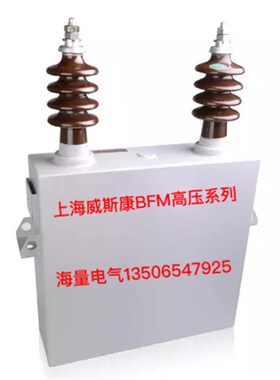 直销上海威斯康高压电力电容器BFM1051001 补偿电容器