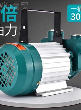 大灼濛功率抽MVW油泵12V24V20V伏2泵柴油抽油机抽油油器加油机加