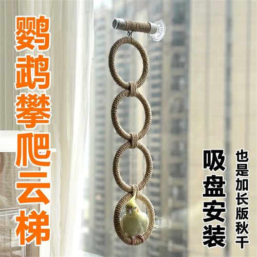乐鸟匠鹦鹉攀爬云梯吸盘加长秋千吊环训练站架虎皮牡丹玄凤鸟玩具