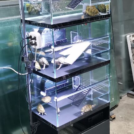 乌龟繁殖下蛋排缸一拖三四层乌龟缸多层鱼缸底滤排缸订做金龟别墅