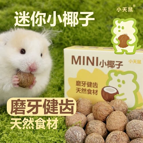 仓鼠夏日磨牙迷你小椰子