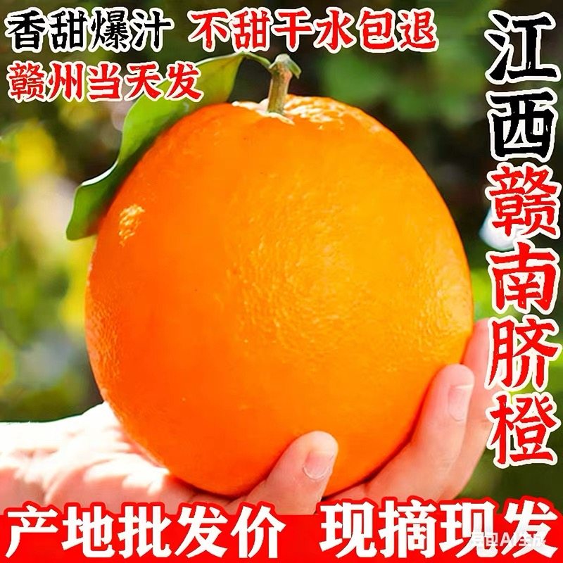 【平晏果园】正宗江西赣南脐橙当季新鲜孕妇水果产地直发9斤现货图片