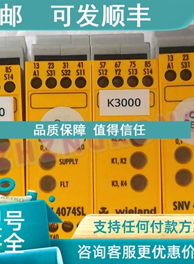 议价R1.188.2160.0 DC24V 30S 威琅安全继电器4074SL-A