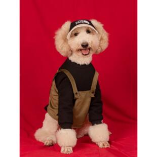工装风狗狗卫衣大型犬衣服秋冬加绒拉布拉多金毛萨摩耶巨贵衣服潮